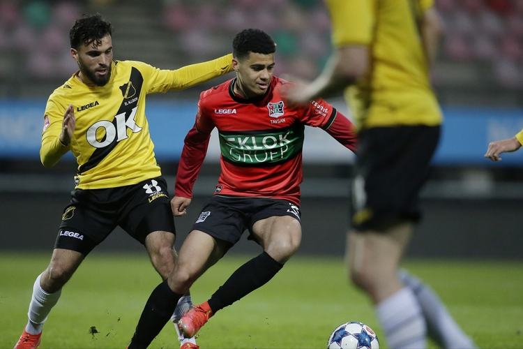 森林狼等多 森林狼等多