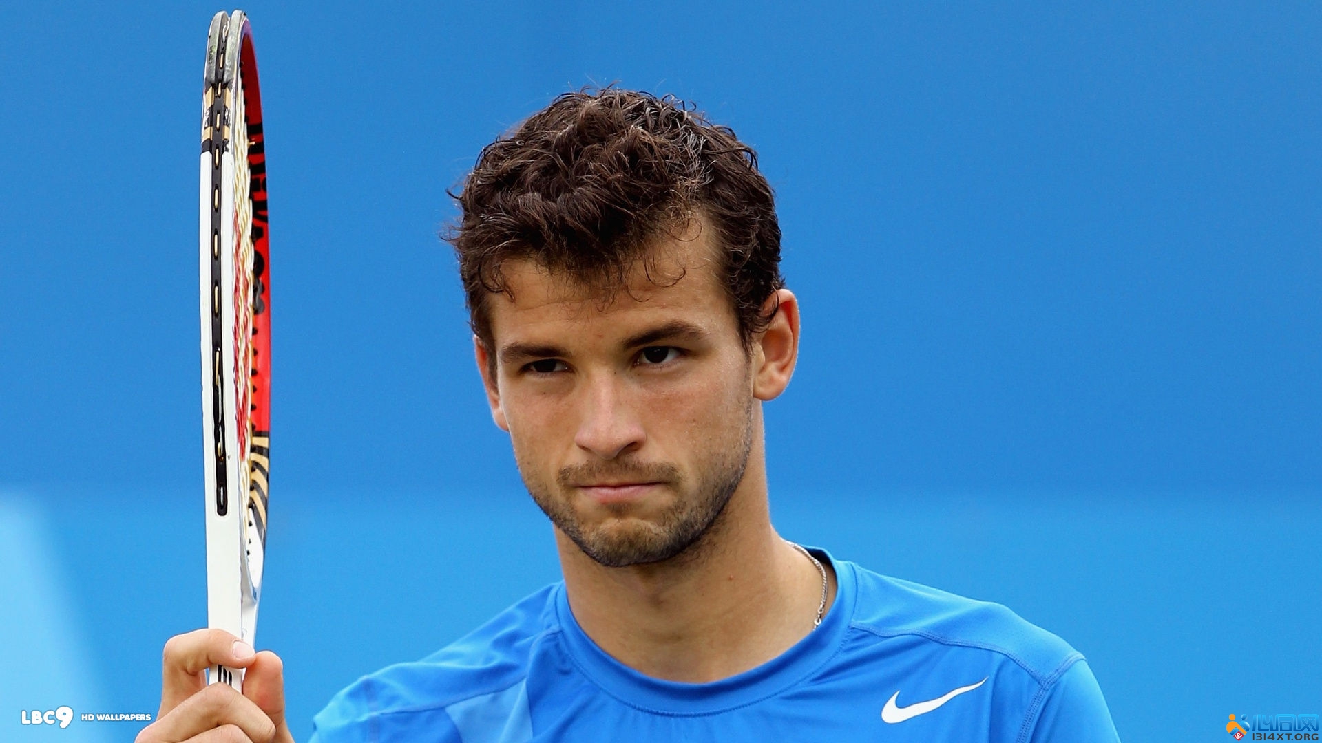 案例分析 案例分析